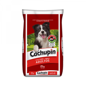 Cachupin