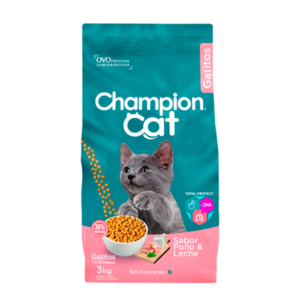 Champion Katt