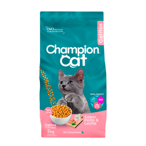 Champion Katt